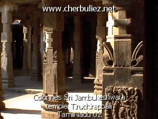 légende: Colonnes Sri Jambukeshwara temple Tiruchirappalli TamilNadu 02
qualityCode=raw
sizeCode=half

Données de l'image originale:
Taille originale: 110421 bytes
Heure de prise de vue: 2002:03:07 12:43:06
Largeur: 640
Hauteur: 480
